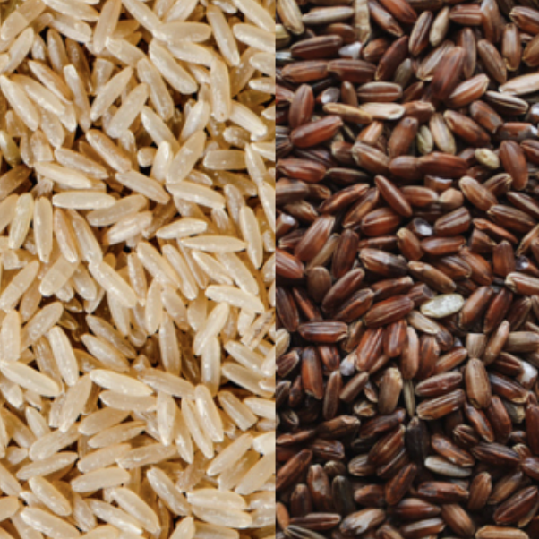 Our Products | Premium Thai Jasmine Rice by Siam Quality Rice